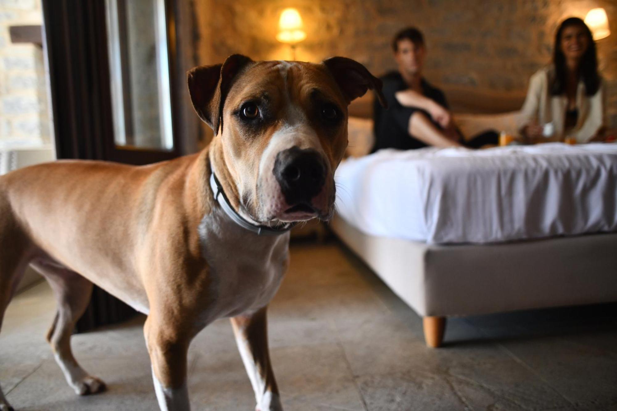 Petra & Fos Boutique Hotel & Spa Ойтілон Екстер'єр фото